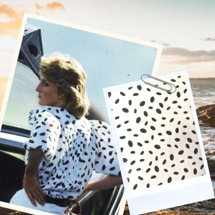 Spotted These Classic Prints? 